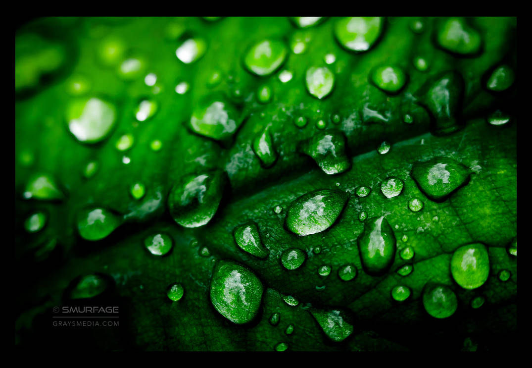 Fifty Shades of Green by Smurfage