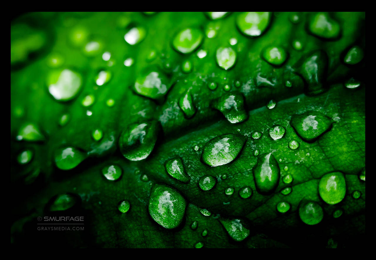 Fifty Shades of Green by Smurfage