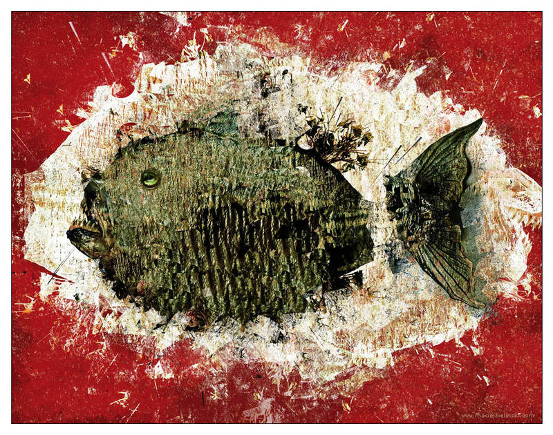 A Fish in Red by MaciejZielinski
