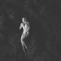 No title 31 by Dobytek