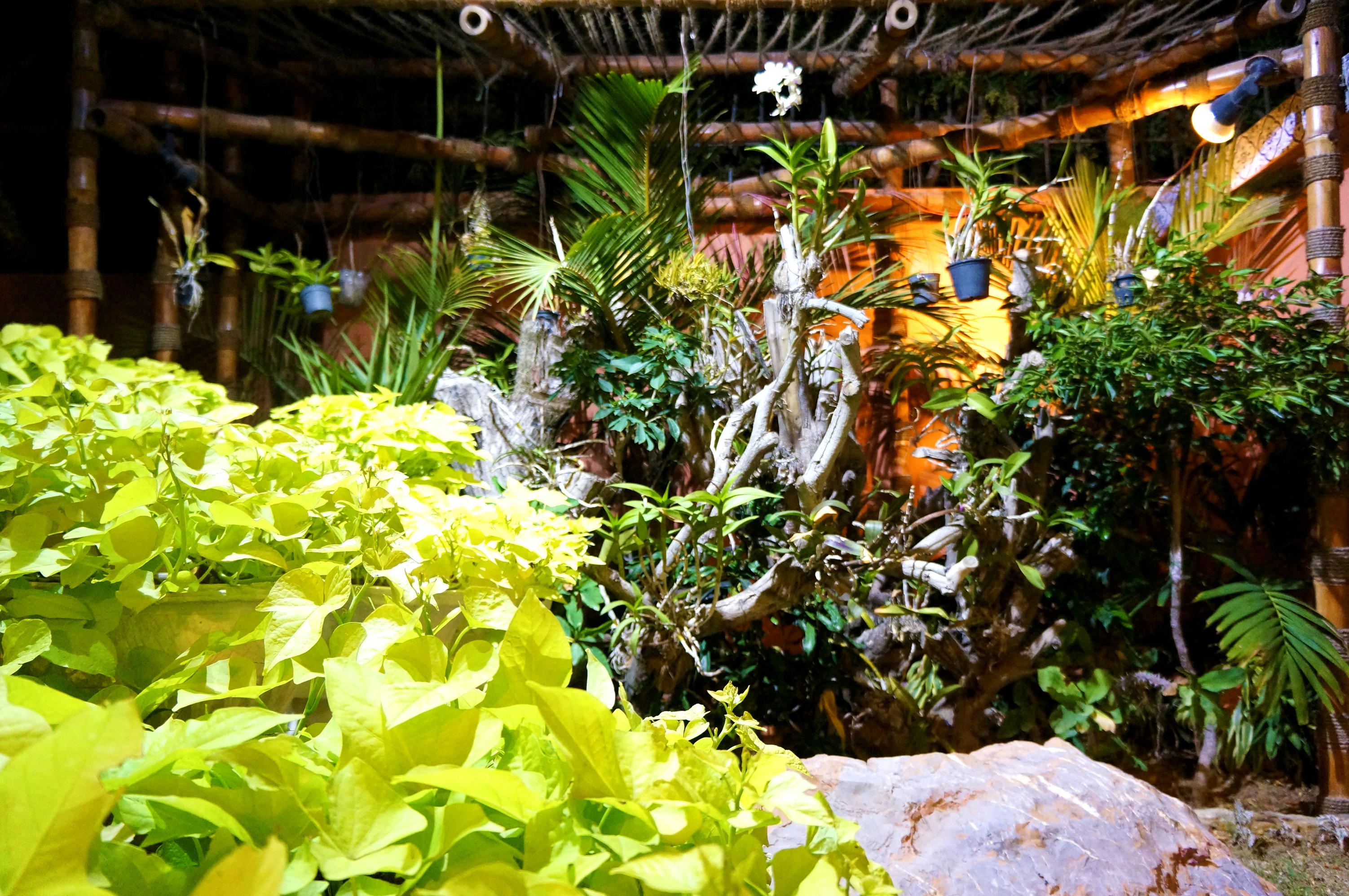 Garden D.H.A , Karachi , Sind , PAKISTAN by minoru66 on DeviantArt