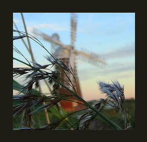 The Marsh... by AlicesPlace The Marsh... by AlicesPlace