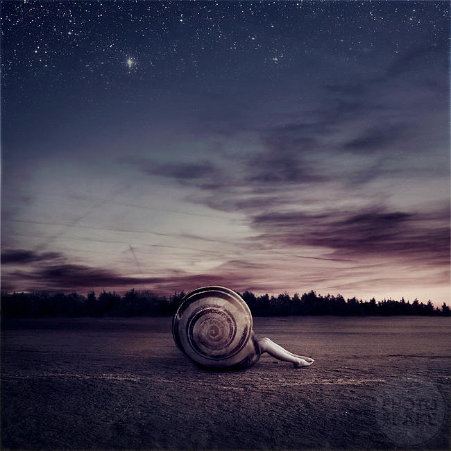 comfort zone by photoflake