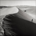 Walking the Dunes by aponom