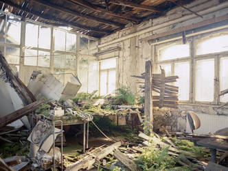 Green riot by soho42