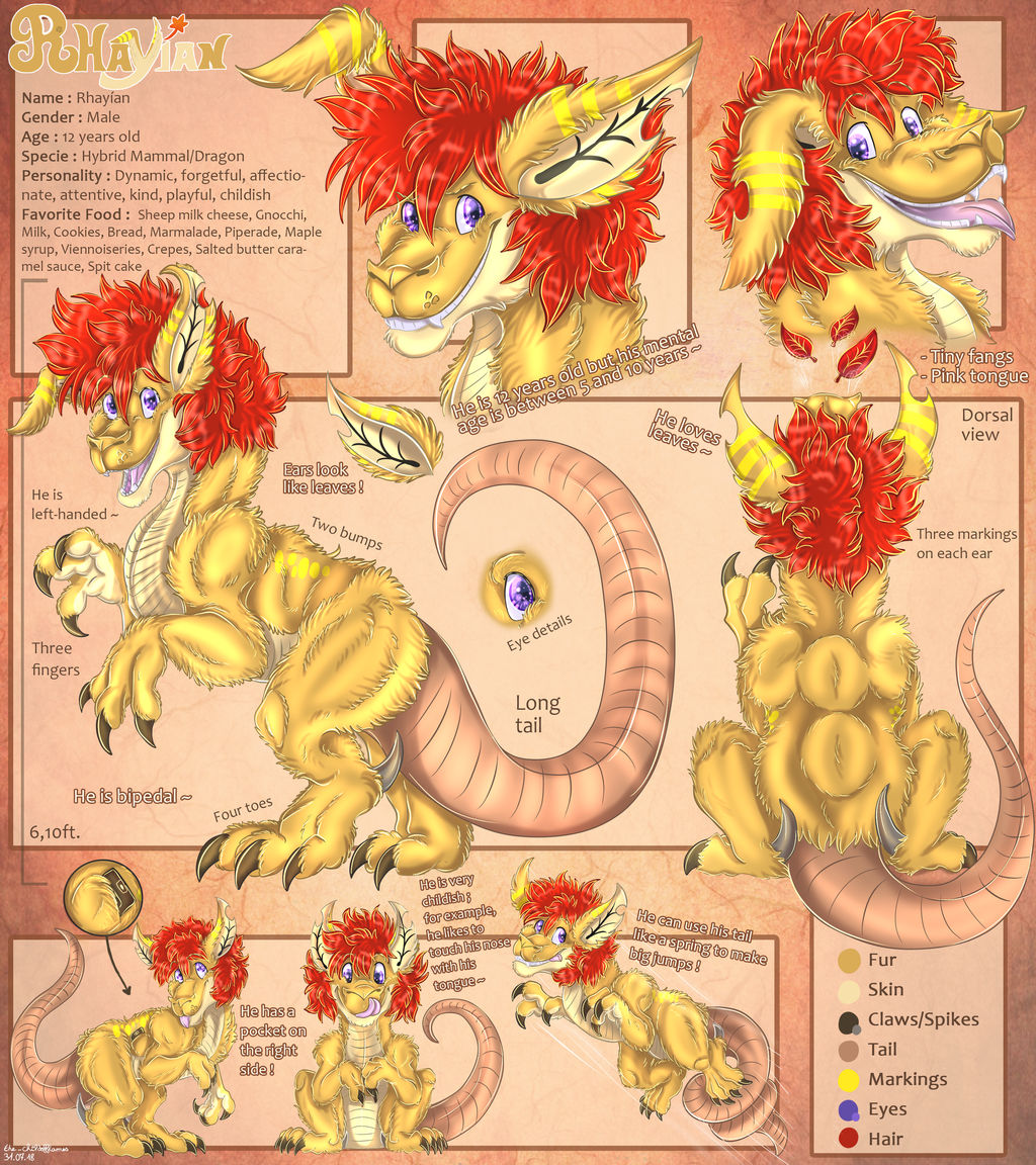 Valkyrie's Reference Sheet [Commission] by the-childofflames on DeviantArt
