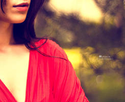 Dream On by dkokdemir