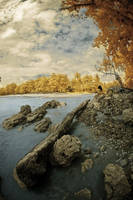 Bird Harbor by Aerobozt