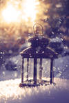 Snow dreams by Floreina-Photography