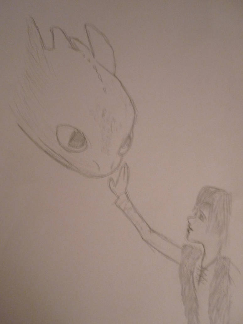 Hiccup And Toothless Drawing by iw0ntgiveuponyou on DeviantArt