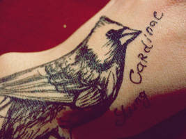 oh, young crdnl by rubynkka