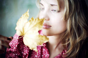 scents of autumn II by nakedlady