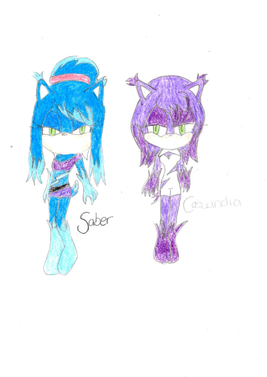 Saber and Cassandra the crystal-hogs by KeyaraHedgehog09