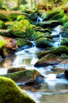 Der Saussbach by Saber1705