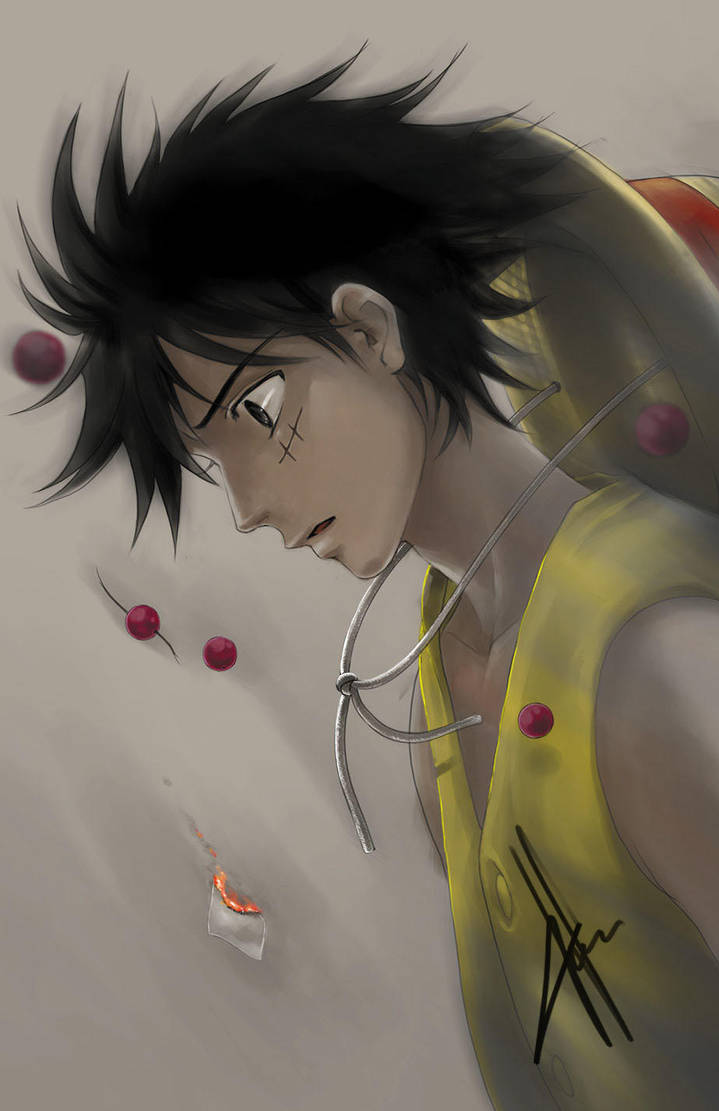 Thank You Luffy by morbidprince