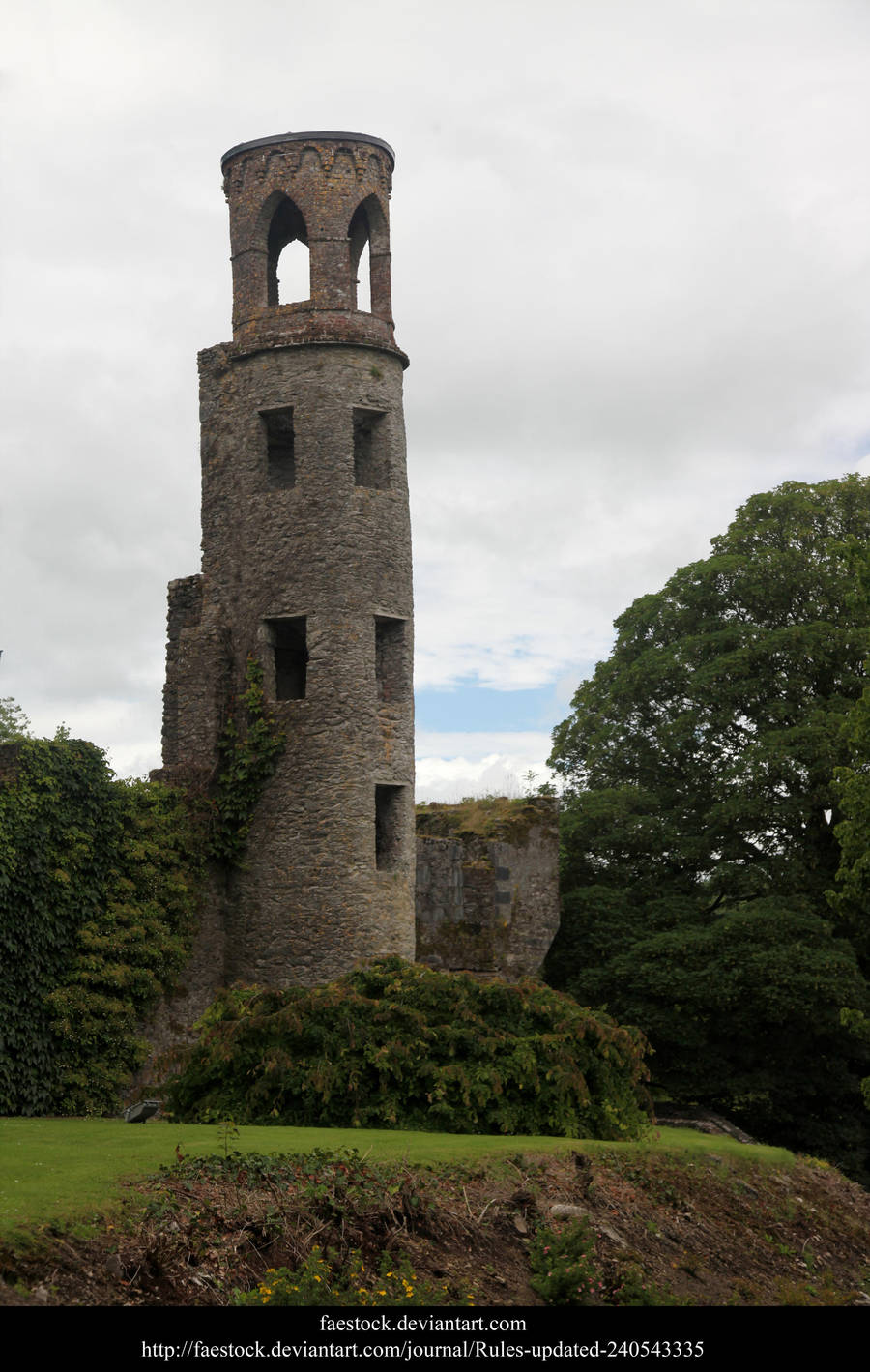 Blarney13 by faestock