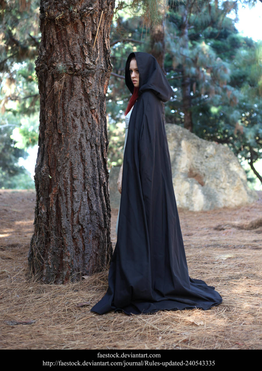 Secret 5 by faestock