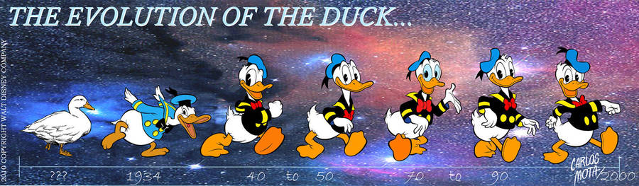 Donald Duck Evolution by CarlosMota on DeviantArt