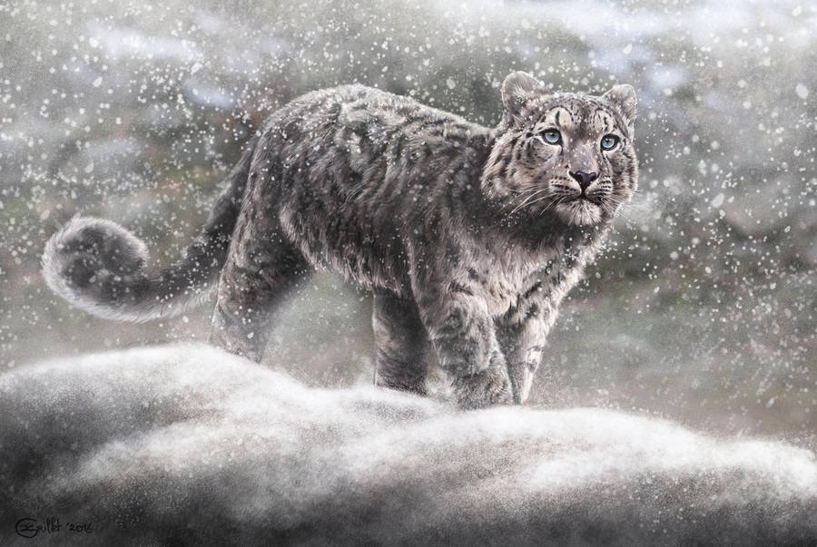 First snow by Bisanti First snow by Bisanti