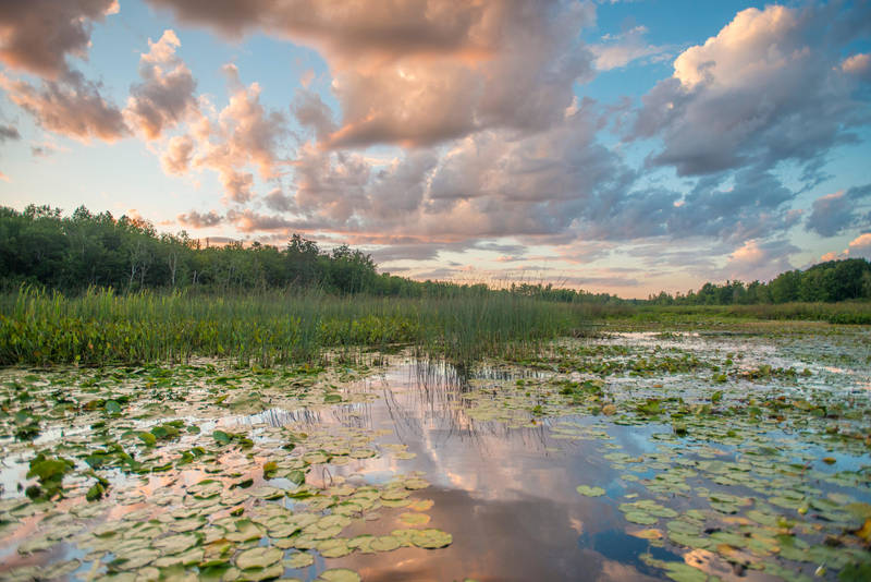 Sunset Pond Stock by little-spacey