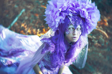 The Dance of Dusk by sarahbowman