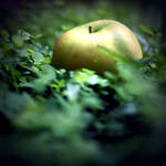 manzana by RobbyP