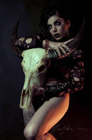 Bull Skull by Sharuzen