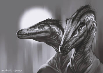 Raptors by AntarcticSpring