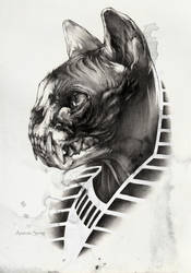 Sphynx II by AntarcticSpring