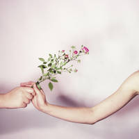 for you. by violetkitty92