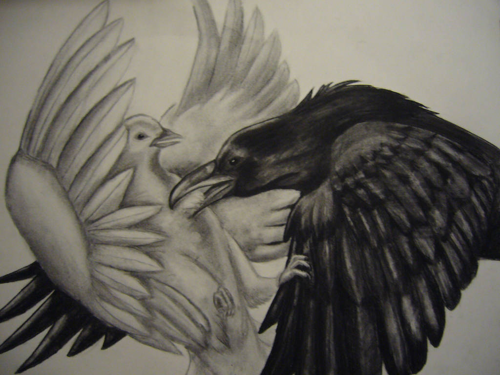 Raven Vs. Dove by xyroca on DeviantArt