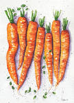 Baby carrots by rougealizarine
