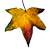 Icon - Autumn Leaf