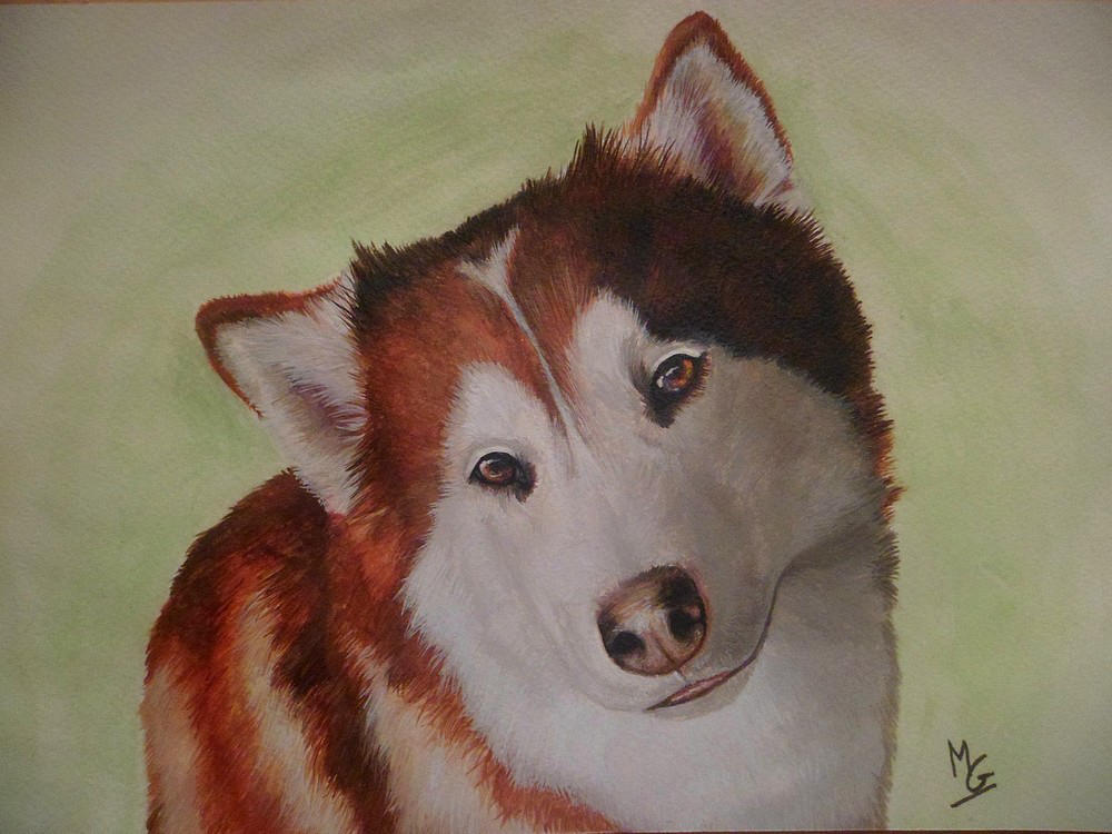 Painting of a husky by mazellis on DeviantArt