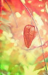 Hope of Survival.. by pacificdreams