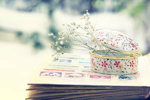 Fairy Tales.. by pacificdreams