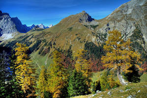 Great autumn by mutrus