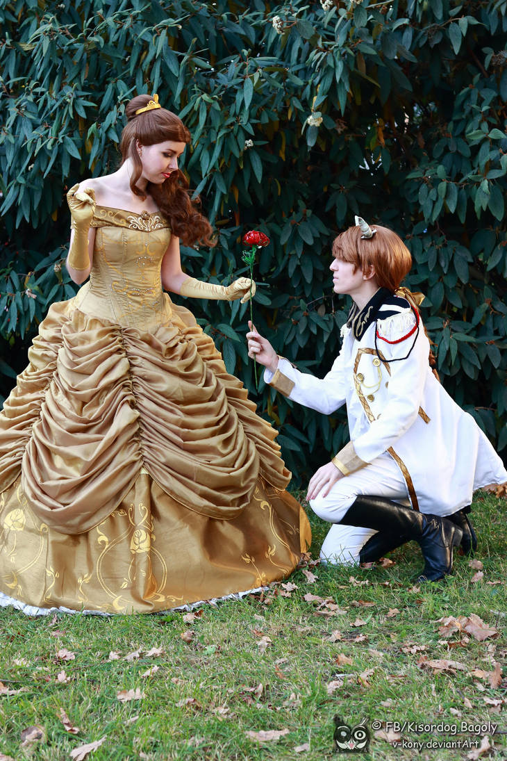 Beauty and the Beast Belle and Prince 2 by Vkony on DeviantArt