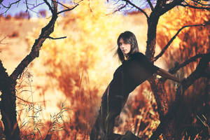 Blaze II by charleshildreth