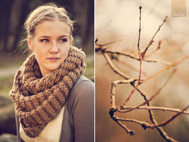 Autumn days by Soeky148