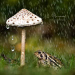 : my umbrella : by hellfirediva