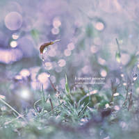 i stand alone by hellfirediva