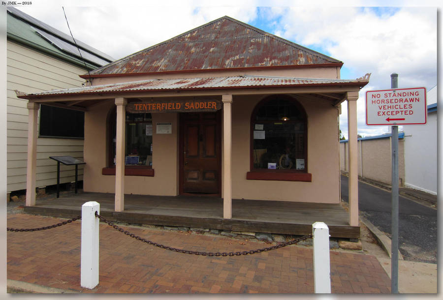 Tenterfield Saddler by JohnK222