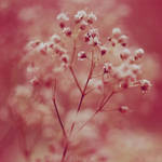 breath away. by simoendli
