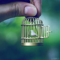 fly away. by simoendli