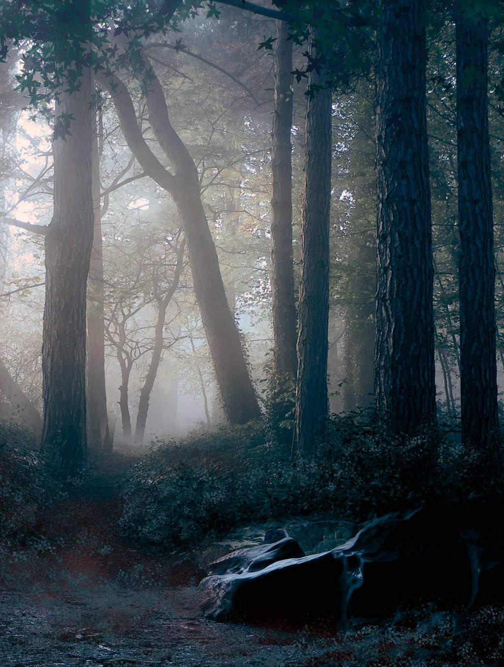 woods II PREMADE 2 by StarsColdNight