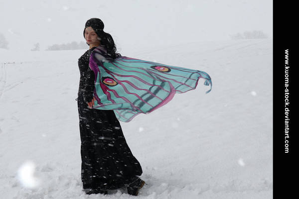 Winter Moth 6 by Kuoma-stock