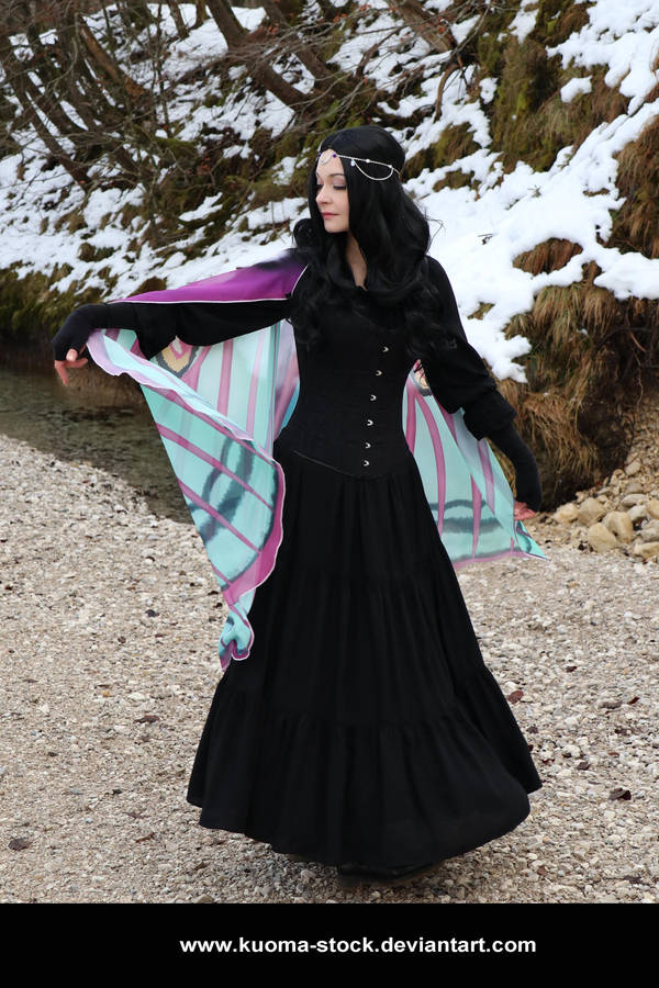Winter Moth 13 by Kuoma-stock