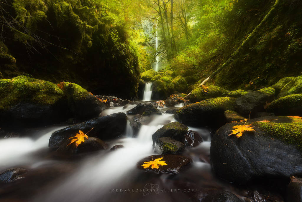 Autumn Dream by Jordan-Roberts