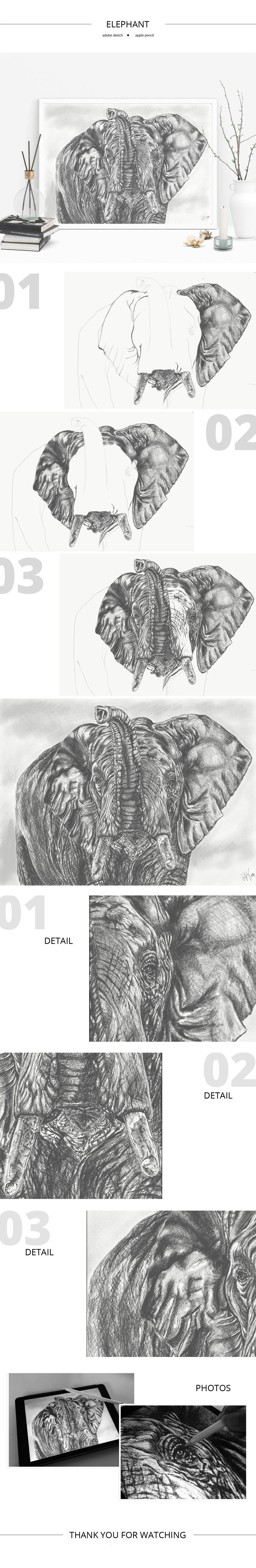 Elephant sketch by Lifety